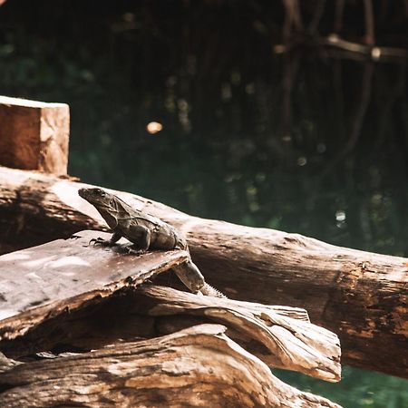 Uman Glamping & Cenote Tulum酒店 外观 照片