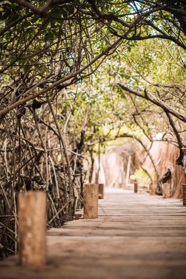Uman Glamping & Cenote Tulum酒店 外观 照片