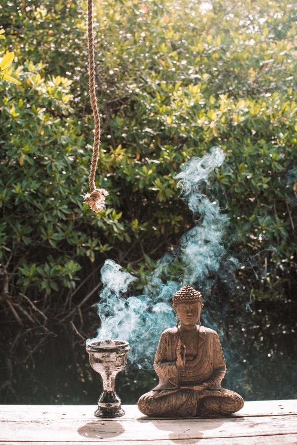 Uman Glamping & Cenote Tulum酒店 外观 照片