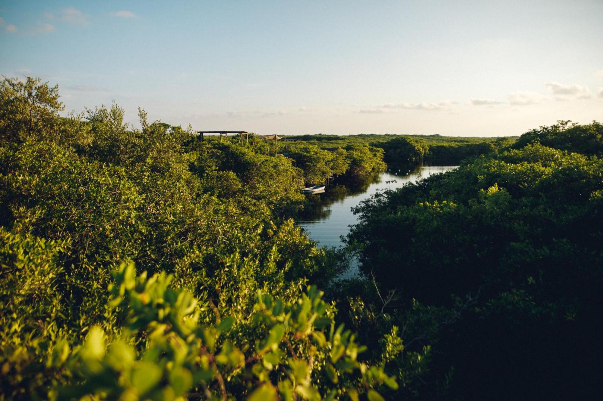 Uman Glamping & Cenote Tulum酒店 外观 照片