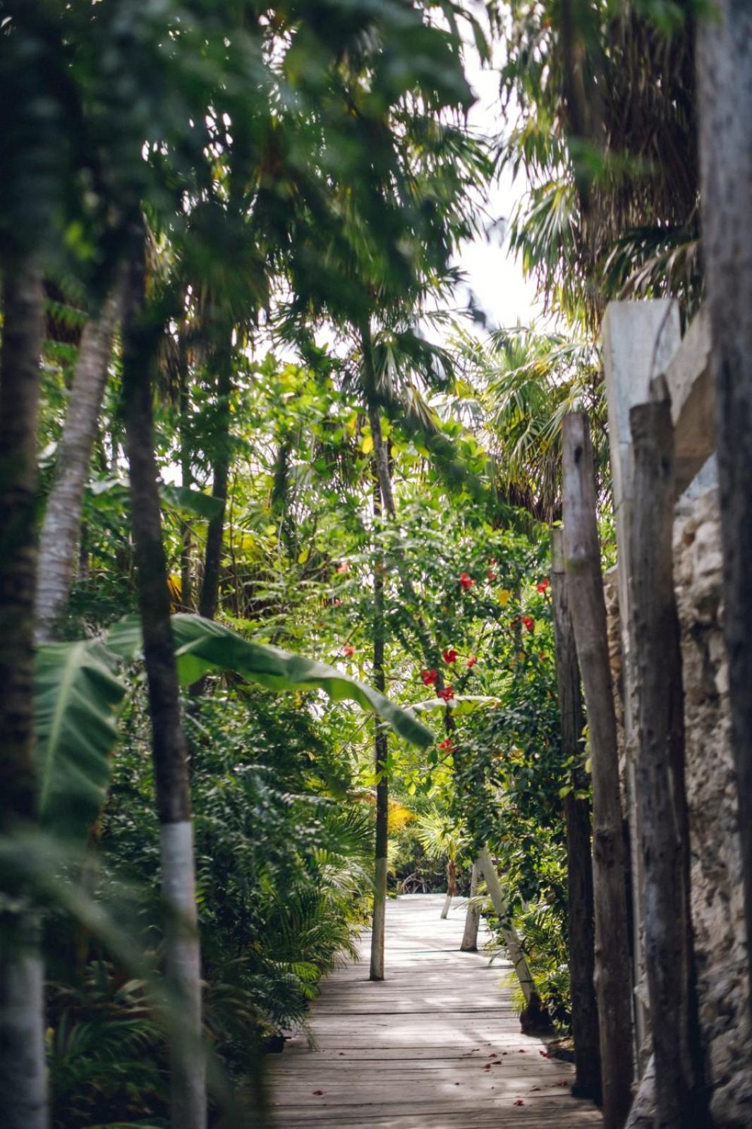 Uman Glamping & Cenote Tulum酒店 外观 照片
